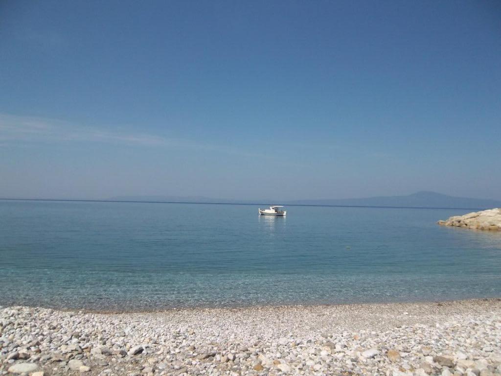 Amber Seaview Villa By The Olive Groves Καλαμάτα Εξωτερικό φωτογραφία